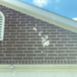 Windshield bird poop