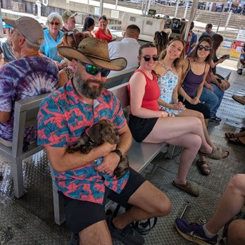 Baywatch Dolphin Tours - Tours Near Me - Galveston, Texas