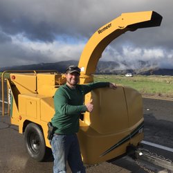 Lumberjack Tree Services
