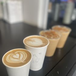 The beautiful line up