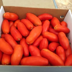 New Morning Farm
