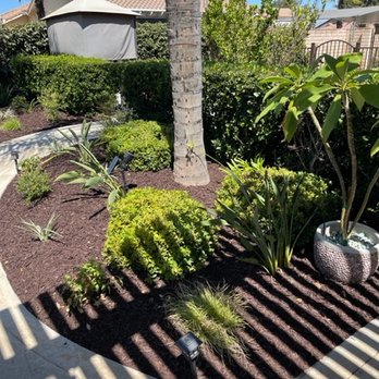 Pacific Crest Landscape - Drip, Plants and Planter Work - Landscaping Near Me Pacific Crest Landscape - Drip, Plants and Planter Work - Landscaping Near Me
