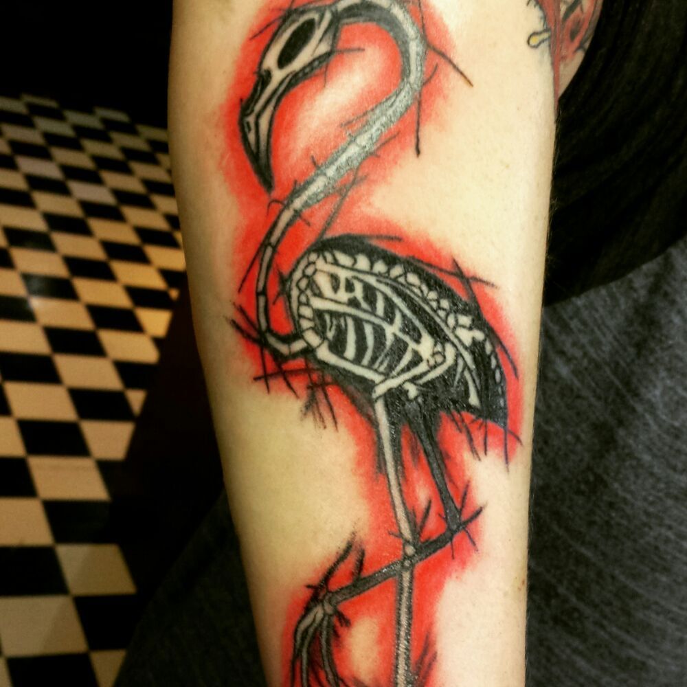 EXTREME LIFESTYLES 12 Photos 5239 US61, Imperial, Missouri