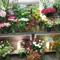 Prinz Blumen - Unser frisches heimisches Schnittblumenangebot