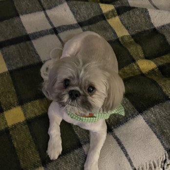 EarthWise Pet - Pet Groomers Near Me - Oklahoma City, Oklahoma EarthWise Pet - Pet Groomers Near Me - Oklahoma City, Oklahoma