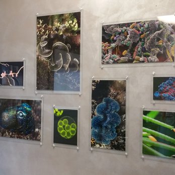 Symbiosis Wines - Wineries Near Me - Paso Robles, California Symbiosis Wines - Wineries Near Me - Paso Robles, California