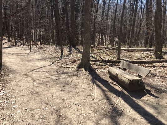 Bird Hills Nature Area by null