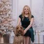 Photo of Sundance Labradoodles