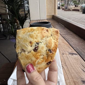 Catalina Island Brew House - Fresh Cranberry scone - Coffee & Tea Near Me - Avalon, California Catalina Island Brew House - Fresh Cranberry scone - Coffee & Tea Near Me - Avalon, California
