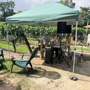 Loughlin Vineyard - Singer - Wineries Near Me - Sayville, New York Loughlin Vineyard - Singer - Wineries Near Me - Sayville, New York