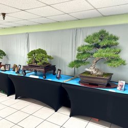 Chua Vietnam Quan The Am - Chino Bonsai Club 6th Annual Bonsai Exhibition Oct 3-4, 2026.