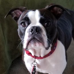 Baxter