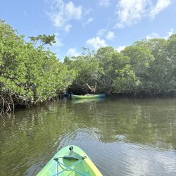 Florida Bay Outfitters - Entering mangrove tunnel