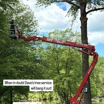 Dave's Tree Service - Tree Services Near Me Dave's Tree Service - Tree Services Near Me