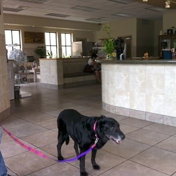 Maui Veterinary Clinic - Lexi Dogg at Maui Veterinary Clinic, just inside the front door. Nice large waiting room with two separate areas for seating. - Veterinarians Near Me - Wailuku, Hawaii Maui Veterinary Clinic - Lexi Dogg at Maui Veterinary Clinic, just inside the front door. Nice large waiting room with two separate areas for seating. - Veterinarians Near Me - Wailuku, Hawaii