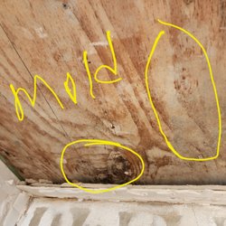 Re-Bath - mold behind the wall in multiple places