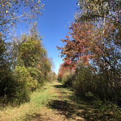 Farnham-Connolly State Park - Long, straight, flat, mundane.