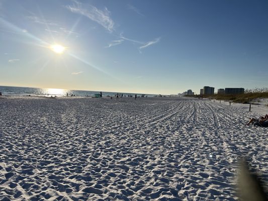 Henderson Beach State Park by null