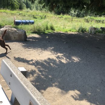 Cavalero Hill Community Park - There I a couple obstacle course items and bench's available. - Dog Parks Near Me - Lake Stevens, Washington Cavalero Hill Community Park - There I a couple obstacle course items and bench's available. - Dog Parks Near Me - Lake Stevens, Washington