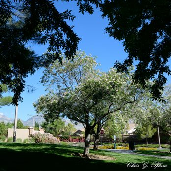 North Tower Park - Parks Near Me - Las Vegas, Nevada North Tower Park - Parks Near Me - Las Vegas, Nevada