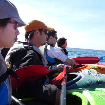 L'Institut Destination Langues - Activités sportives et culturelles - découverte de la faune et la flore locale locale en kayak. Sporting and culture: kayak - Language Schools Near Me - Marseille, 13