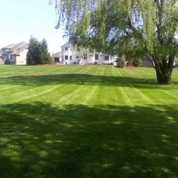 The Landscaping Authority - a large green lawn with a tree in the foreground - Landscape Architects or Designers Near Me - Shelby Township, Michigan The Landscaping Authority - a large green lawn with a tree in the foreground - Landscape Architects or Designers Near Me - Shelby Township, Michigan