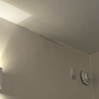 The Tryst - Potential mold? - Hotels Near Me - San Juan, Puerto Rico