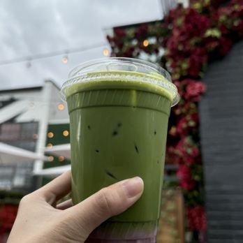 Cannonball Cafe - Blackberry matcha - Cafes Near Me - Boston, Massachusetts