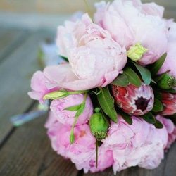Petal Pushers