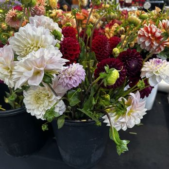 Olympia Farmers Market - Farmers Market Near Me - Olympia, Washington Olympia Farmers Market - Farmers Market Near Me - Olympia, Washington