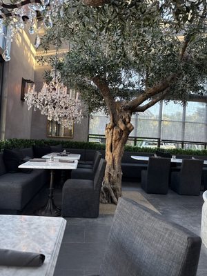 RH Yountville | The Gallery in Napa Valley by null