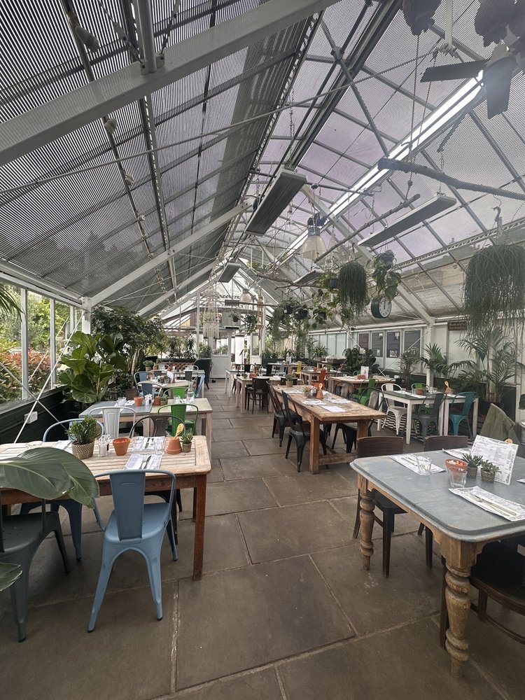 THE QUINCE TREE Updated September 2024 50 Photos & 22 Reviews 5a