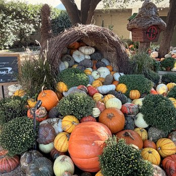 NorthPark Center - Pumpkin Harvest - Shopping Centers Near Me - Dallas, Texas NorthPark Center - Pumpkin Harvest - Shopping Centers Near Me - Dallas, Texas