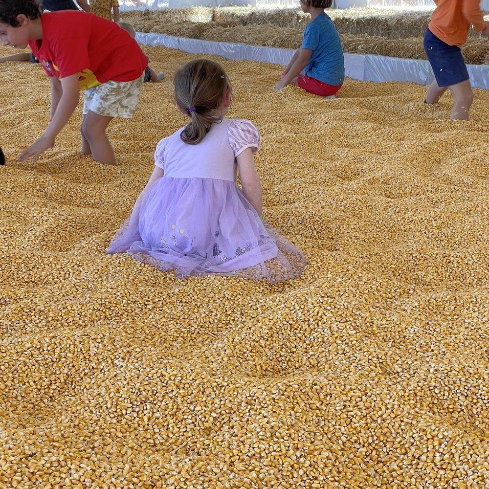 Corn pit