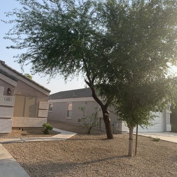 Dig It Landscaping - After - Tree Services Near Me