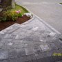 Photo of All Seasons Landscaping