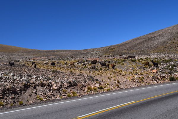 Quebrada de Humahuaca by null