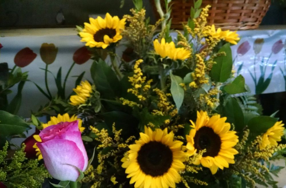 DAISY FLOWERS Updated September 2024 16 Reviews 600 W Arbor Vitae