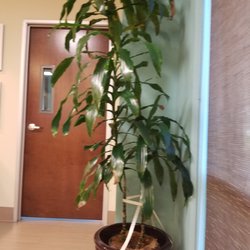 HealthCare Partners Nevada - Urgent Care ( if door is closed & locked sign in with front desk)