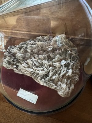 Teylers Museum by null