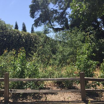 Misty Wood Park - Parks Near Me - Roseville, California