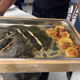 Turbot