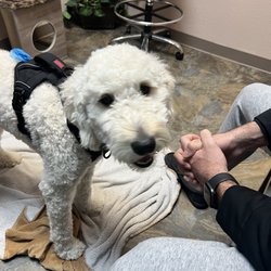 Pueblo Area Pet Emergency Hospital LLC
