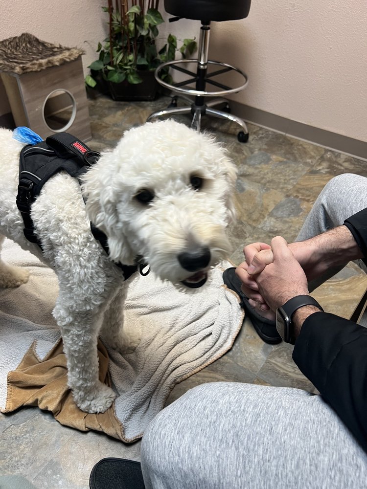 PUEBLO AREA PET EMERGENCY HOSPITAL LLC Updated September 2024 35