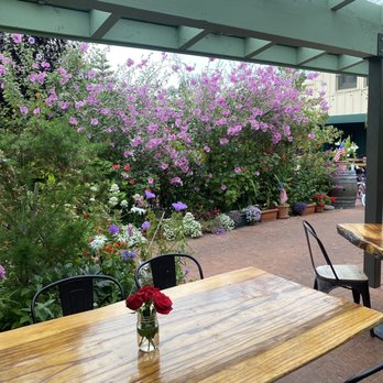 Luna Coffee Bar - Outdoor seating area - Coffee & Tea Near Me - Cayucos, California Luna Coffee Bar - Outdoor seating area - Coffee & Tea Near Me - Cayucos, California