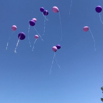 Balloons by Robin - Balloon Services Near Me - North Port, Florida Balloons by Robin - Balloon Services Near Me - North Port, Florida