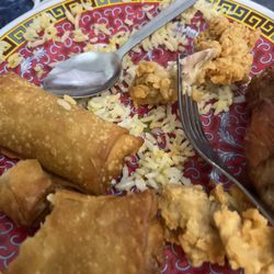 Lotus Garden - I devoured my meal...