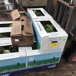 Holy Organic