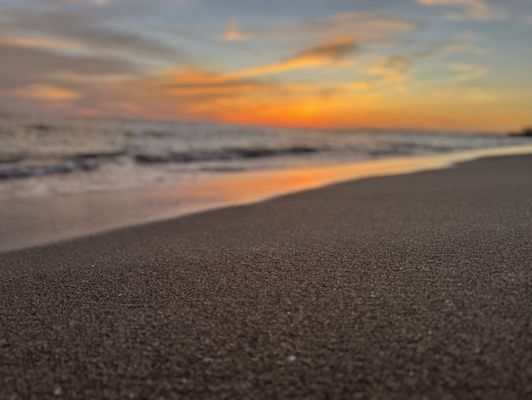 Venice Beach by null