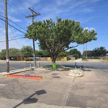 Maness Tree & Brush Service - #treetrim - Tree Services Near Me - Tuscola, Texas Maness Tree & Brush Service - #treetrim - Tree Services Near Me - Tuscola, Texas